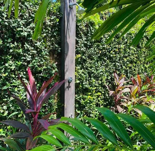 别墅 Savvy Villa, A Tranquil Oasis & Walk To The